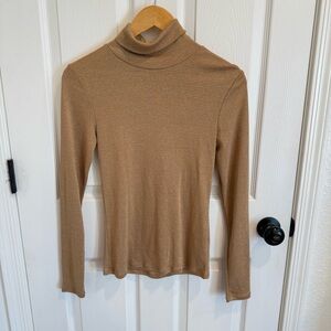 Thin sheer glittery turtle neck top